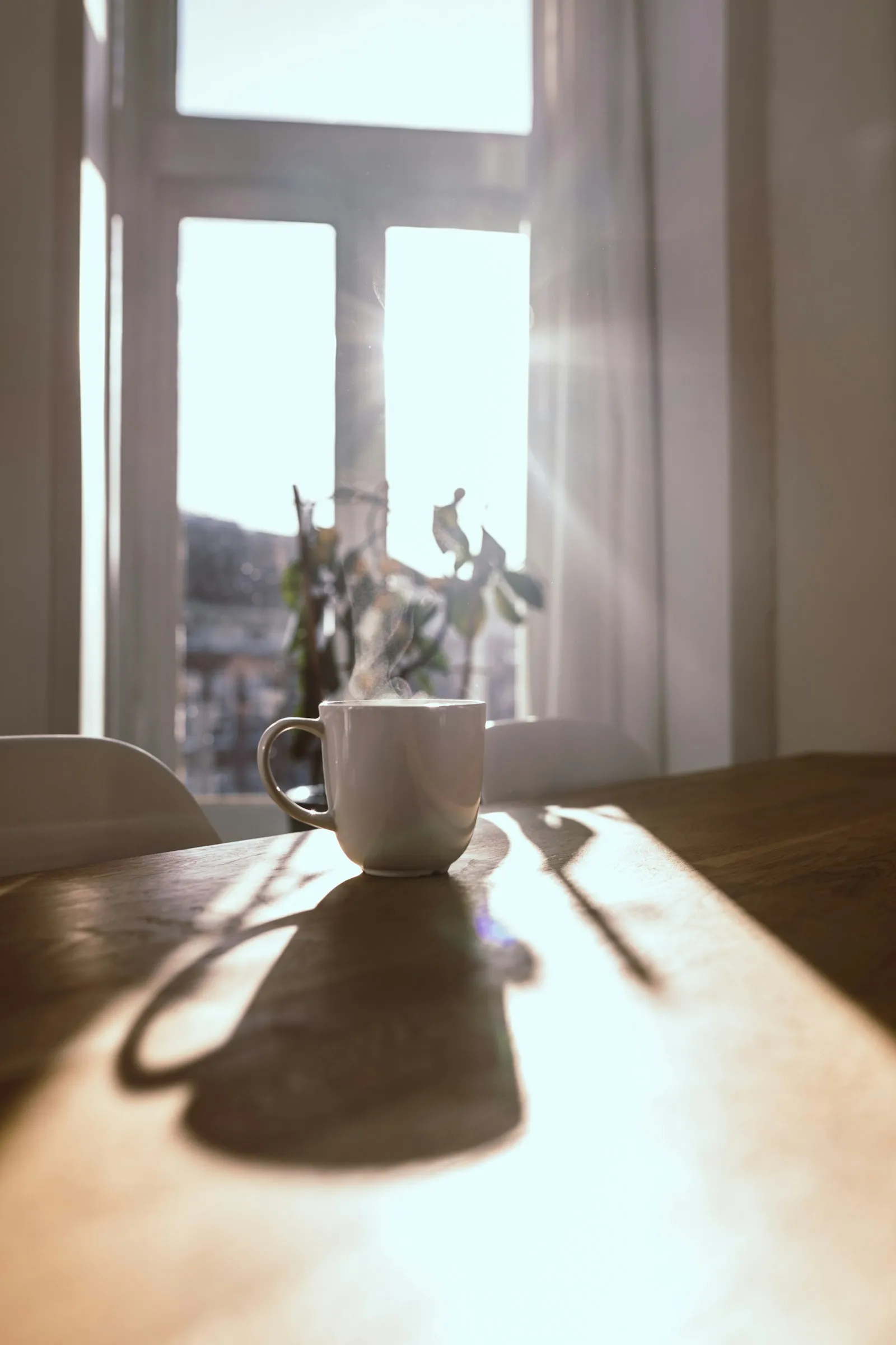 A cup of tea in soft light by an open window